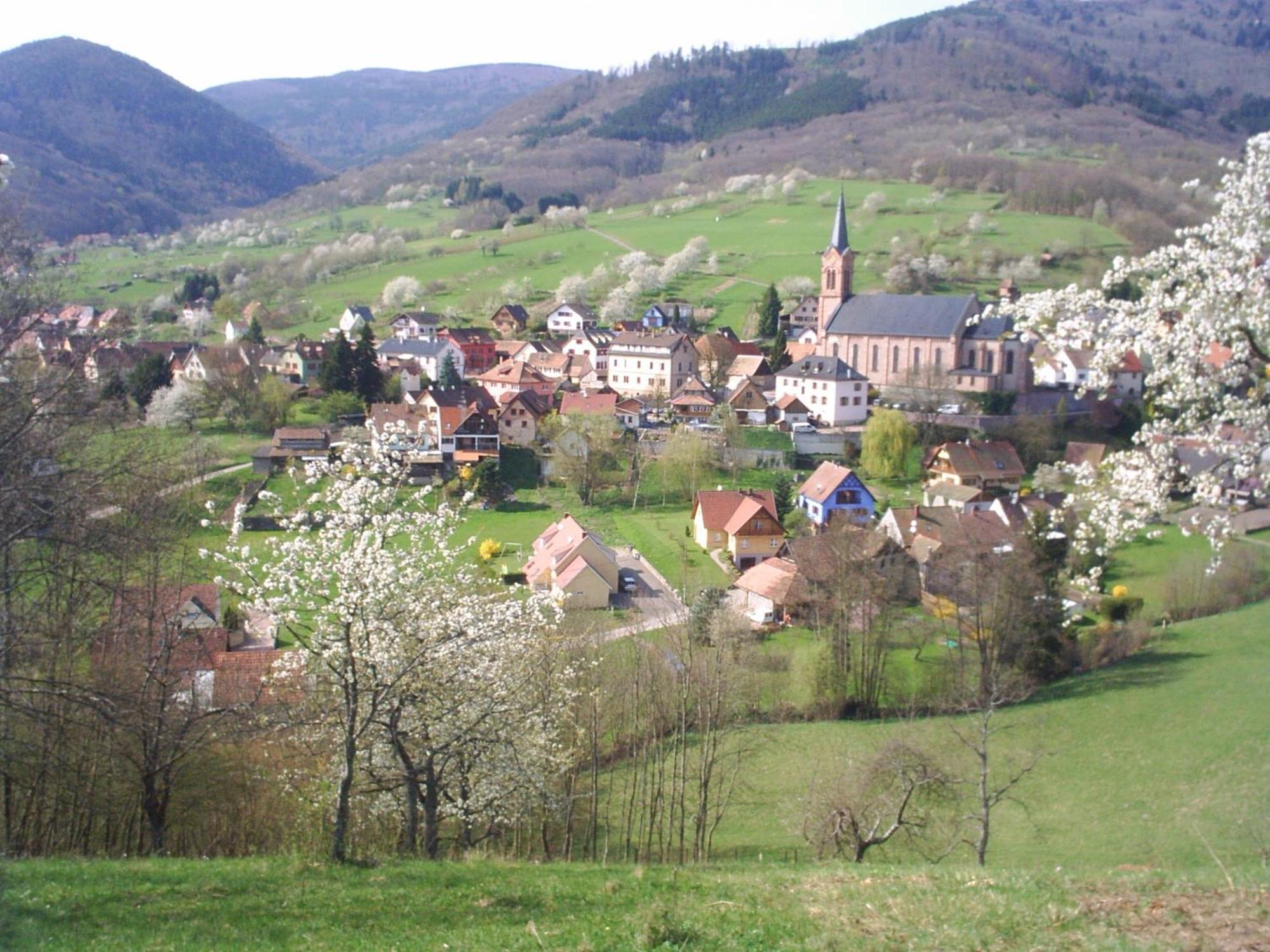 Gite Bellevue Breitenbach Esterno foto