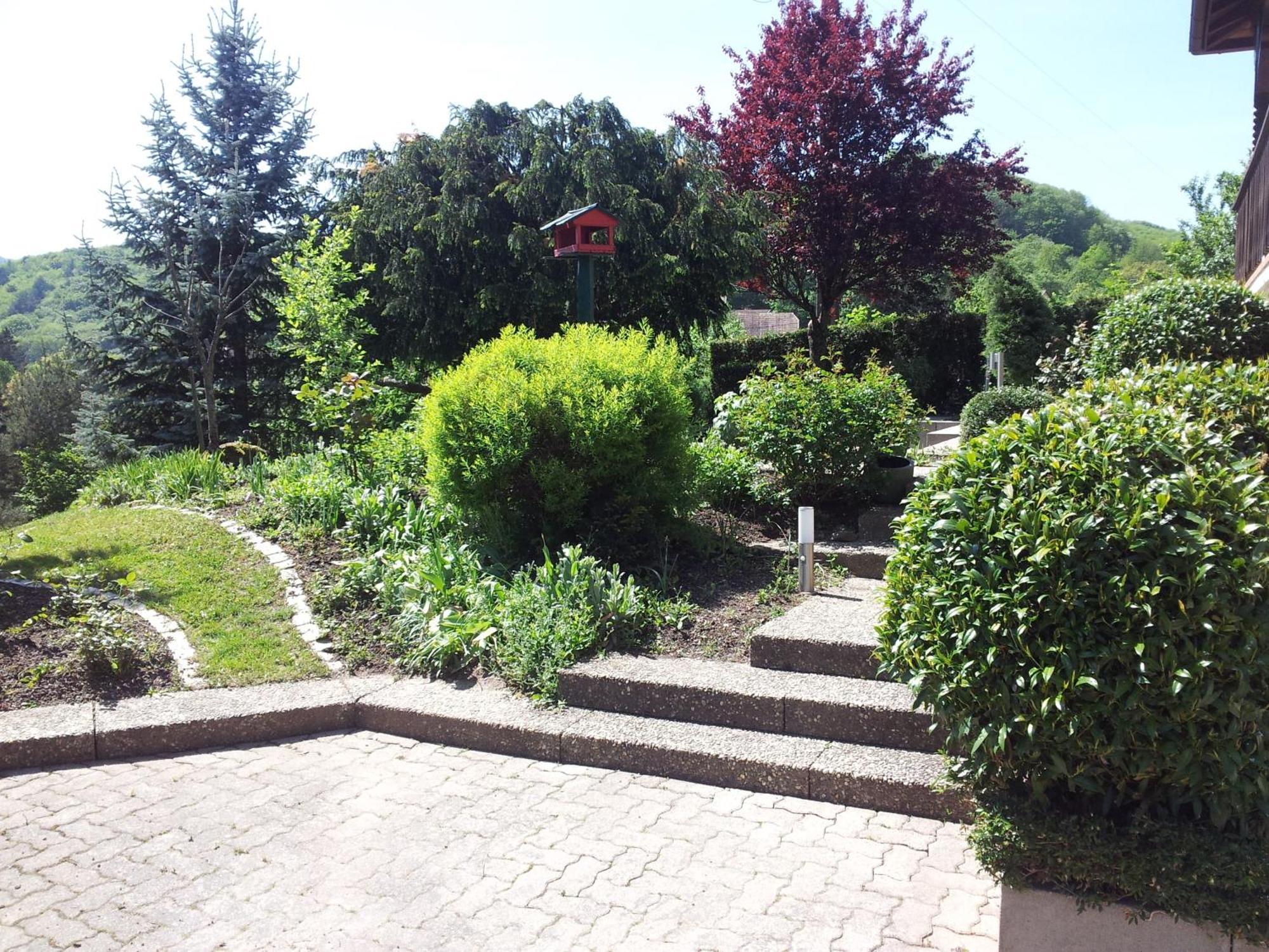 Gite Bellevue Breitenbach Esterno foto