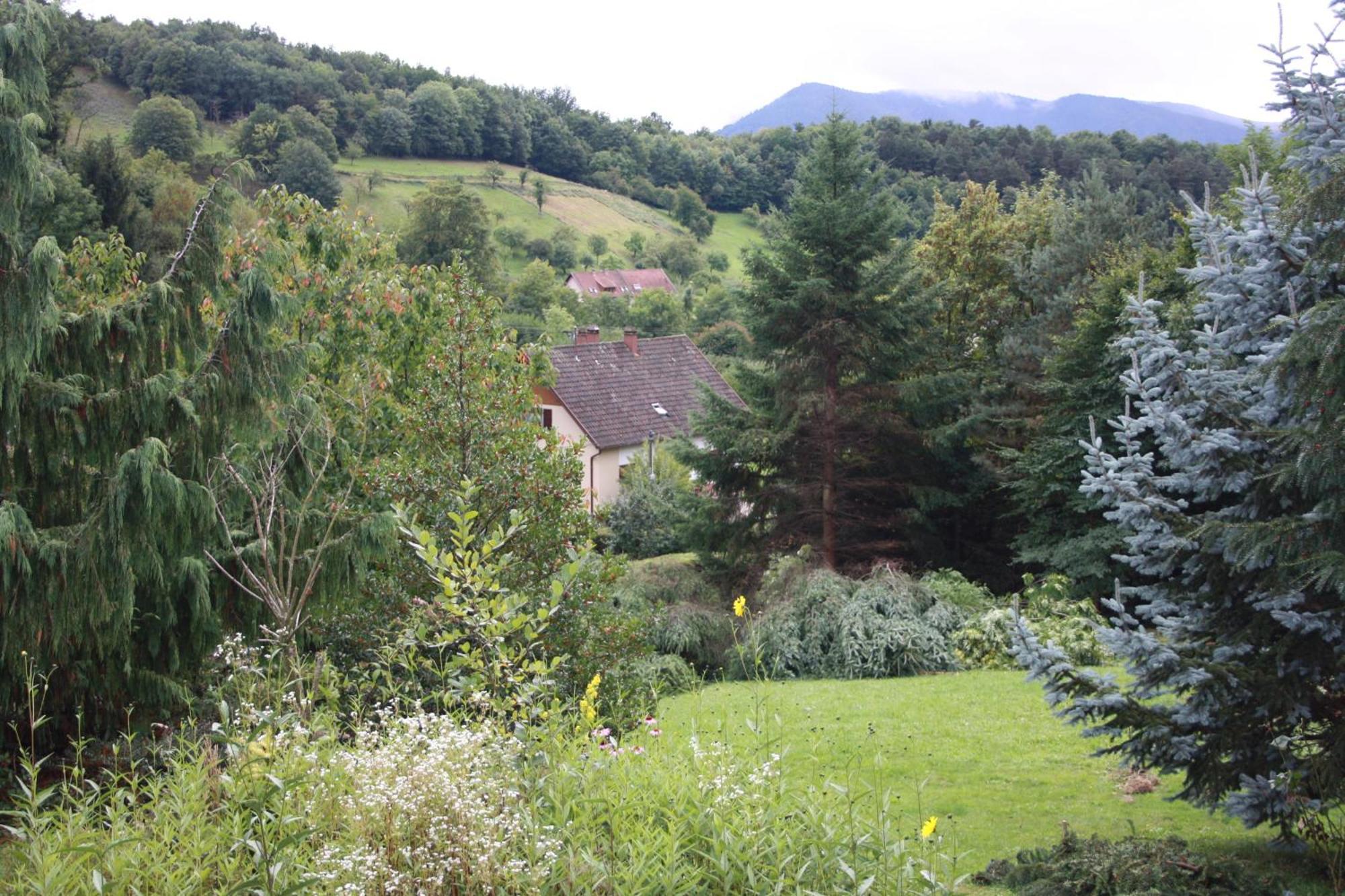 Gite Bellevue Breitenbach Esterno foto